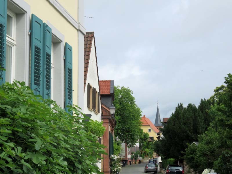 IMG_0389.jpg