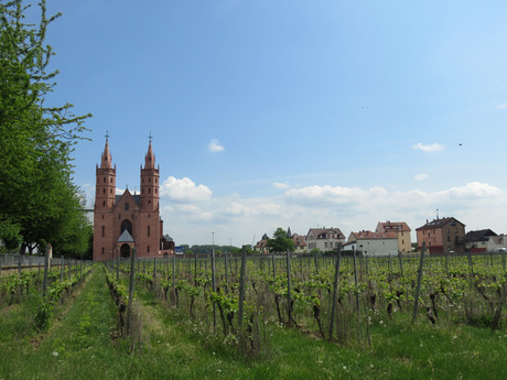IMG_2440.jpg